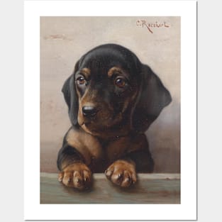 Young Dachshund by Carl Reichert Posters and Art